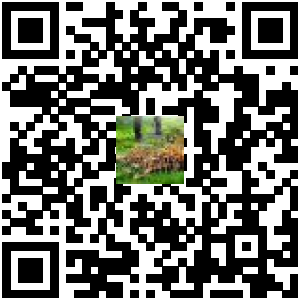 Code QR du produit