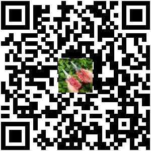 Code QR du produit