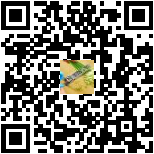 Code QR du produit