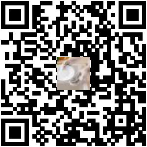 Code QR du produit