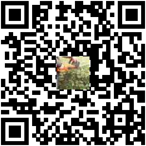 Code QR du produit