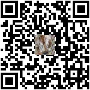 Code QR du produit