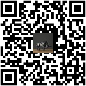 Code QR du produit