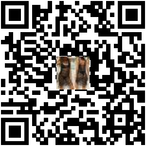 Code QR du produit