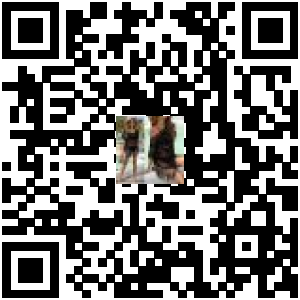Code QR du produit