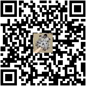 Code QR du produit