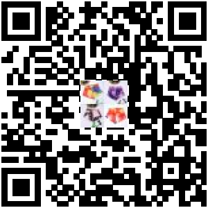 Code QR du produit