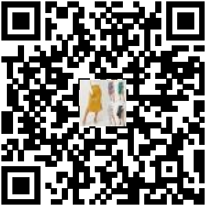 Code QR du produit