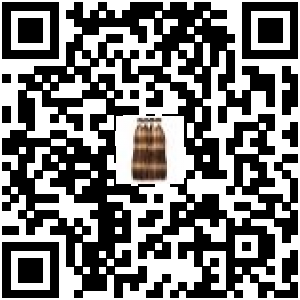 Code QR du produit