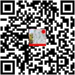 Code QR du produit