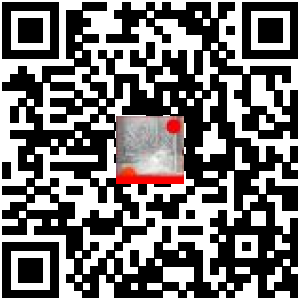 Code QR du produit
