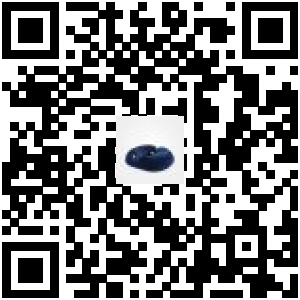 Code QR du produit