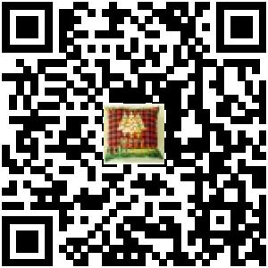 Code QR du produit