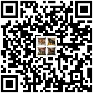 Code QR du produit