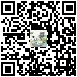 Code QR du produit