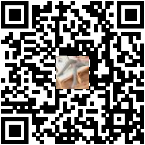 Code QR du produit