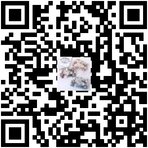 Code QR du produit