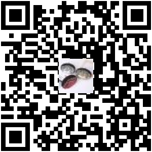 Code QR du produit