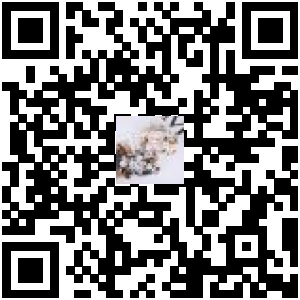 Code QR du produit