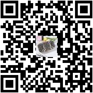 Code QR du produit