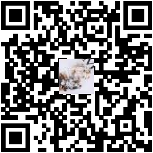 Code QR du produit