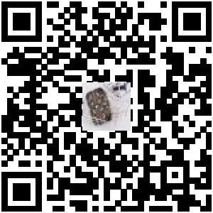 Code QR du produit