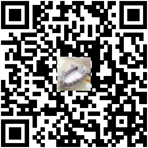 Code QR du produit