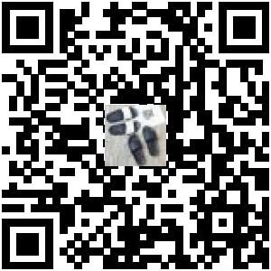 Code QR du produit