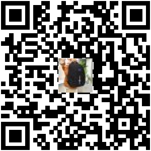 Code QR du produit
