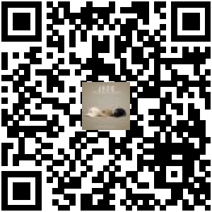 Code QR du produit