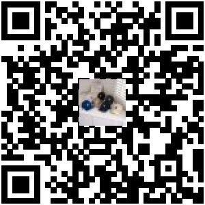 Code QR du produit