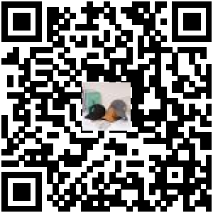 Code QR du produit