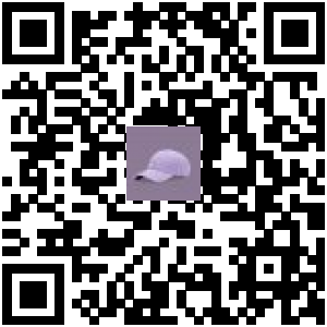 Code QR du produit