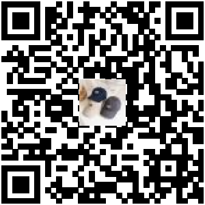 Code QR du produit