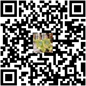 Code QR du produit