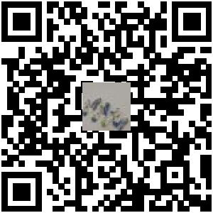 Code QR du produit