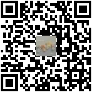 Code QR du produit