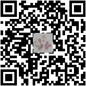 Code QR du produit