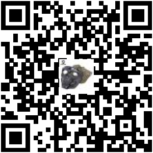 Code QR du produit