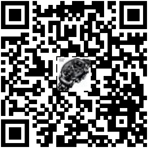 Code QR du produit