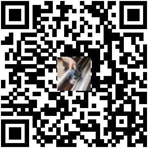 Code QR du produit