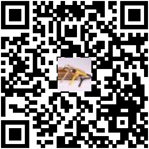Code QR du produit