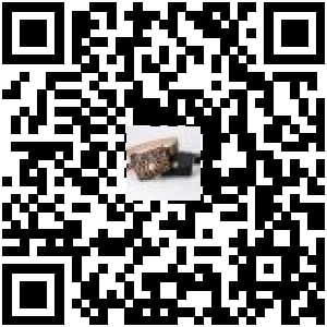 Code QR du produit