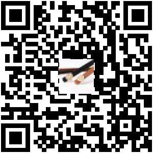 Code QR du produit