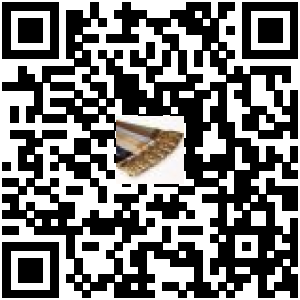 Code QR du produit