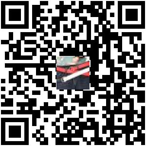 Code QR du produit