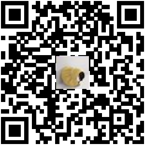 Code QR du produit