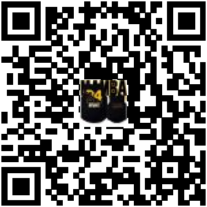 Code QR du produit
