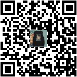 Code QR du produit