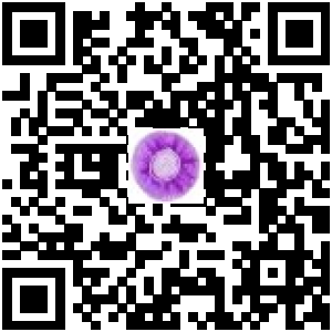 Code QR du produit